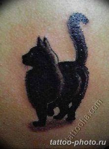 фото рисунка тату черная кошка 13.11.2018 №239 - black cat tattoo picture - tattoo-photo.ru