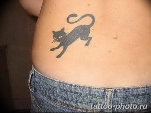 фото рисунка тату черная кошка 13.11.2018 №245 - black cat tattoo picture - tattoo-photo.ru