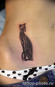 фото рисунка тату черная кошка 13.11.2018 №257 - black cat tattoo picture - tattoo-photo.ru
