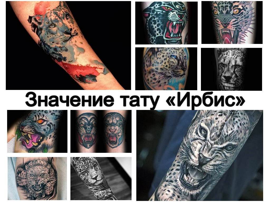 Значение тату Ирбис - информация о рисунке и фото примеры интересных татуировок