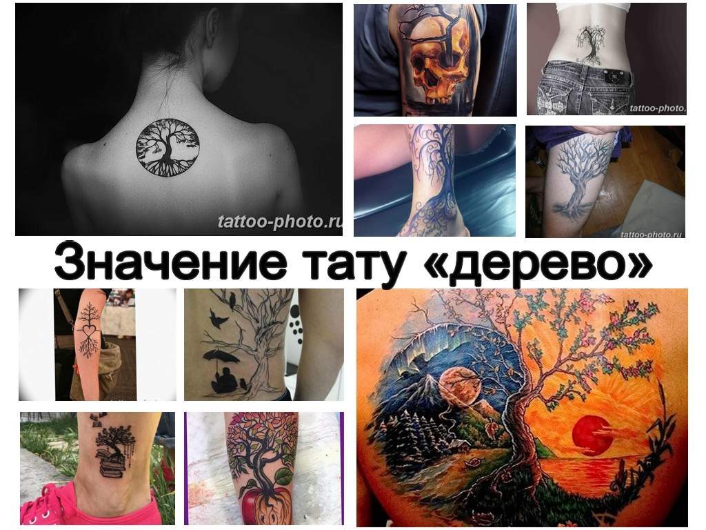 Значение тату дерево - коллекция фото примеров готовых рисунков татуировки