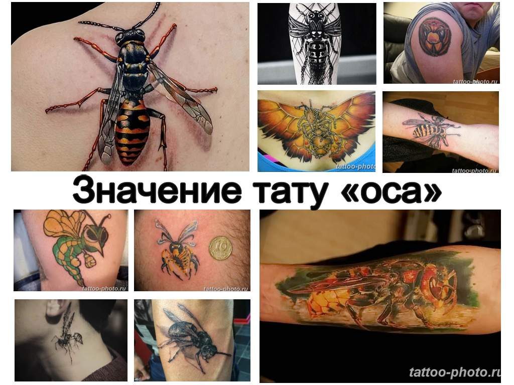 Значение тату оса - коллекция рисунков готовых татуировок на фото