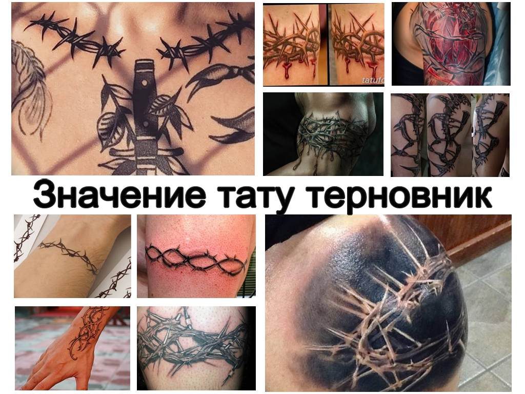 Значение тату терновник - коллекция фото примеров рисунка татуировки