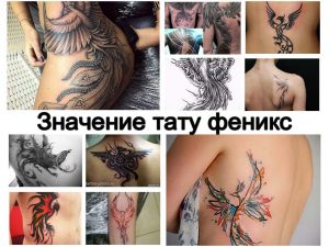 Значение тату феникс - информация о рисунке и фото примеры готовых татуировок