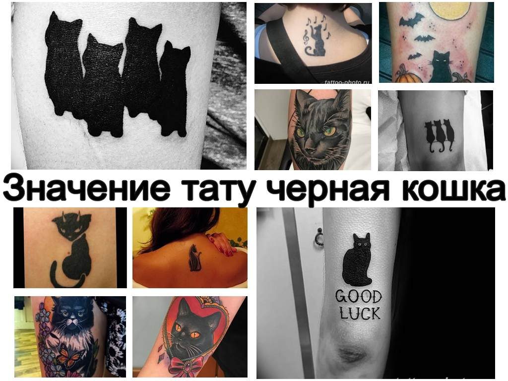 Значение тату черная кошка - коллекция оригинальных фото рисунков готовых татуировок