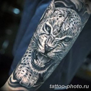 Фото рисунка Тату снежный барс 20.11.2018 №005 - Tattoo snow leopard - tattoo-photo.ru