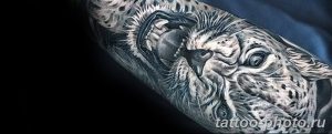 Фото рисунка Тату снежный барс 20.11.2018 №006 - Tattoo snow leopard - tattoo-photo.ru