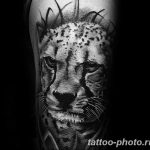 Фото рисунка Тату снежный барс 20.11.2018 №015 - Tattoo snow leopard - tattoo-photo.ru