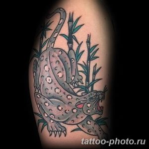 Фото рисунка Тату снежный барс 20.11.2018 №020 - Tattoo snow leopard - tattoo-photo.ru