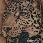 Фото рисунка Тату снежный барс 20.11.2018 №023 - Tattoo snow leopard - tattoo-photo.ru