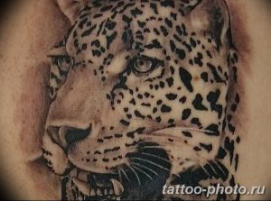 Фото рисунка Тату снежный барс 20.11.2018 №023 - Tattoo snow leopard - tattoo-photo.ru