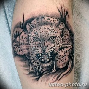 Фото рисунка Тату снежный барс 20.11.2018 №026 - Tattoo snow leopard - tattoo-photo.ru