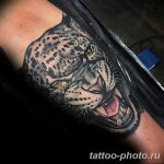 Фото рисунка Тату снежный барс 20.11.2018 №031 - Tattoo snow leopard - tattoo-photo.ru