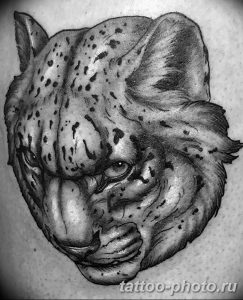 Фото рисунка Тату снежный барс 20.11.2018 №049 - Tattoo snow leopard - tattoo-photo.ru