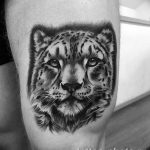 Фото рисунка Тату снежный барс 20.11.2018 №050 - Tattoo snow leopard - tattoo-photo.ru