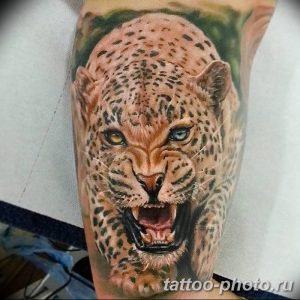 Фото рисунка Тату снежный барс 20.11.2018 №052 - Tattoo snow leopard - tattoo-photo.ru