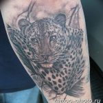 Фото рисунка Тату снежный барс 20.11.2018 №054 - Tattoo snow leopard - tattoo-photo.ru