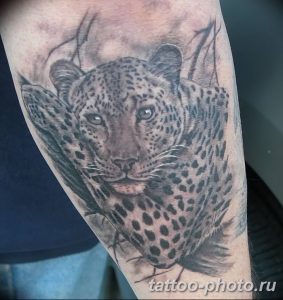 Фото рисунка Тату снежный барс 20.11.2018 №054 - Tattoo snow leopard - tattoo-photo.ru
