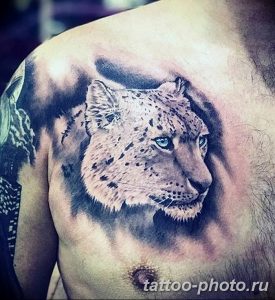 Фото рисунка Тату снежный барс 20.11.2018 №069 - Tattoo snow leopard - tattoo-photo.ru