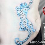 Фото рисунка Тату снежный барс 20.11.2018 №071 - Tattoo snow leopard - tattoo-photo.ru