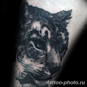 Фото рисунка Тату снежный барс 20.11.2018 №073 - Tattoo snow leopard - tattoo-photo.ru