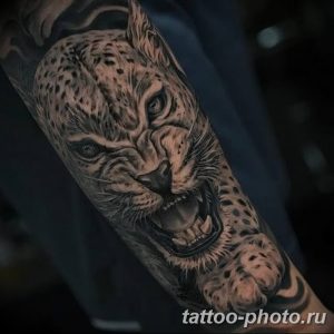Фото рисунка Тату снежный барс 20.11.2018 №080 - Tattoo snow leopard - tattoo-photo.ru