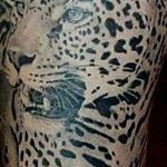 Фото рисунка Тату снежный барс 20.11.2018 №082 - Tattoo snow leopard - tattoo-photo.ru