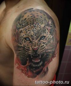 Фото рисунка Тату снежный барс 20.11.2018 №083 - Tattoo snow leopard - tattoo-photo.ru