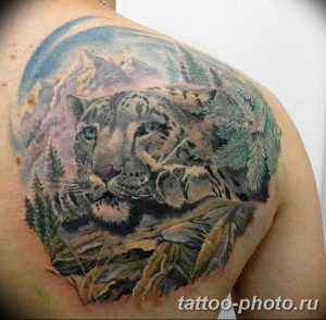 Фото рисунка Тату снежный барс 20.11.2018 №085 - Tattoo snow leopard - tattoo-photo.ru