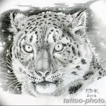 Фото рисунка Тату снежный барс 20.11.2018 №087 - Tattoo snow leopard - tattoo-photo.ru