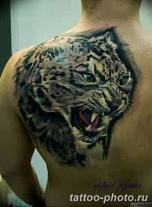 Фото рисунка Тату снежный барс 20.11.2018 №088 - Tattoo snow leopard - tattoo-photo.ru