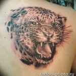 Фото рисунка Тату снежный барс 20.11.2018 №089 - Tattoo snow leopard - tattoo-photo.ru