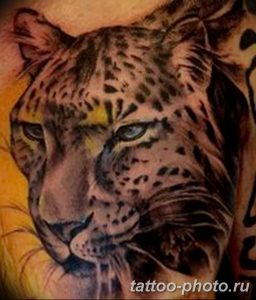 Фото рисунка Тату снежный барс 20.11.2018 №090 - Tattoo snow leopard - tattoo-photo.ru
