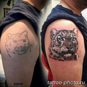 Фото рисунка Тату снежный барс 20.11.2018 №093 - Tattoo snow leopard - tattoo-photo.ru