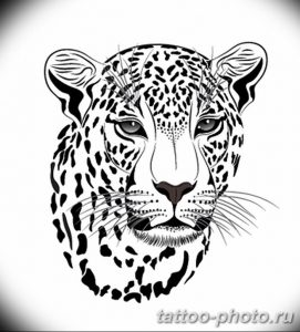 Фото рисунка Тату снежный барс 20.11.2018 №094 - Tattoo snow leopard - tattoo-photo.ru