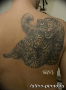 Фото рисунка Тату снежный барс 20.11.2018 №098 - Tattoo snow leopard - tattoo-photo.ru