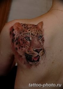 Фото рисунка Тату снежный барс 20.11.2018 №099 - Tattoo snow leopard - tattoo-photo.ru