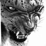 Фото рисунка Тату снежный барс 20.11.2018 №100 - Tattoo snow leopard - tattoo-photo.ru