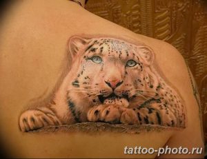 Фото рисунка Тату снежный барс 20.11.2018 №103 - Tattoo snow leopard - tattoo-photo.ru