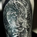 Фото рисунка Тату снежный барс 20.11.2018 №105 - Tattoo snow leopard - tattoo-photo.ru