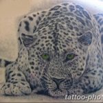 Фото рисунка Тату снежный барс 20.11.2018 №107 - Tattoo snow leopard - tattoo-photo.ru