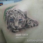 Фото рисунка Тату снежный барс 20.11.2018 №108 - Tattoo snow leopard - tattoo-photo.ru