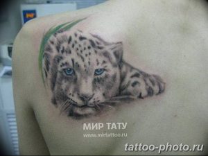Фото рисунка Тату снежный барс 20.11.2018 №108 - Tattoo snow leopard - tattoo-photo.ru