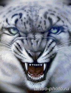 Фото рисунка Тату снежный барс 20.11.2018 №110 - Tattoo snow leopard - tattoo-photo.ru