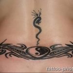 Фото рисунка тату Инь-Янь 08.11.2018 №042 - photo tattoo Yin-Yang - tattoo-photo.ru