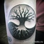 Фото рисунка тату Инь-Янь 08.11.2018 №045 - photo tattoo Yin-Yang - tattoo-photo.ru