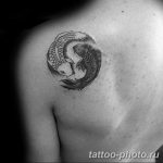 Фото рисунка тату Инь-Янь 08.11.2018 №095 - photo tattoo Yin-Yang - tattoo-photo.ru