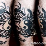 Фото рисунка тату Инь-Янь 08.11.2018 №109 - photo tattoo Yin-Yang - tattoo-photo.ru