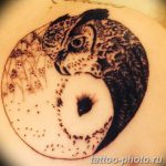 Фото рисунка тату Инь-Янь 08.11.2018 №145 - photo tattoo Yin-Yang - tattoo-photo.ru