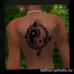 Фото рисунка тату Инь-Янь 08.11.2018 №177 - photo tattoo Yin-Yang - tattoo-photo.ru